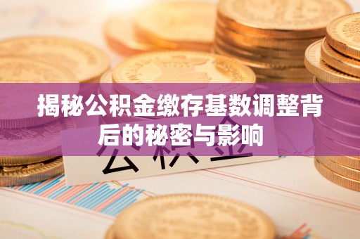 英吉沙揭秘公积金缴存基数调整背后的秘密与影响
