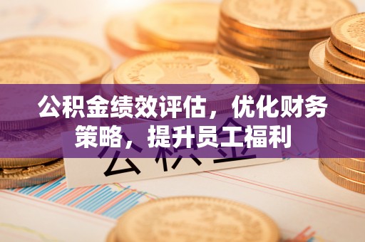 英吉沙公积金绩效评估，优化财务策略，提升员工福利