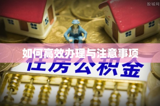 英吉沙如何高效办理与注意事项