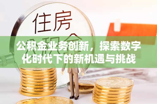 英吉沙公积金业务创新，探索数字化时代下的新机遇与挑战