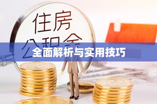 英吉沙全面解析与实用技巧