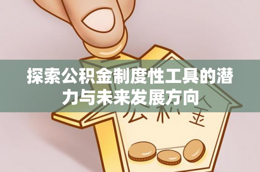 英吉沙探索公积金制度性工具的潜力与未来发展方向