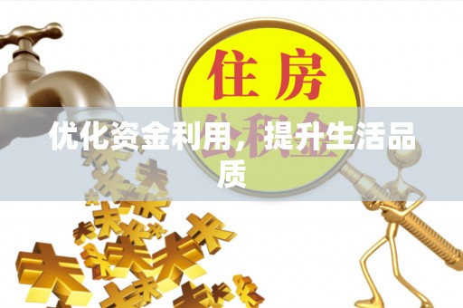 英吉沙优化资金利用，提升生活品质