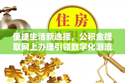 英吉沙便捷生活新选择，公积金提取网上办理引领数字化潮流