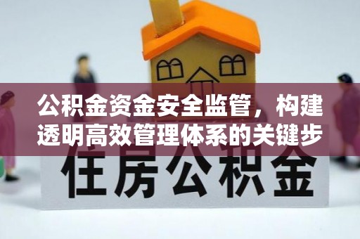 英吉沙公积金资金安全监管，构建透明高效管理体系的关键步骤