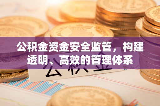英吉沙公积金资金安全监管，构建透明、高效的管理体系