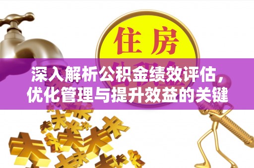 英吉沙深入解析公积金绩效评估，优化管理与提升效益的关键路径