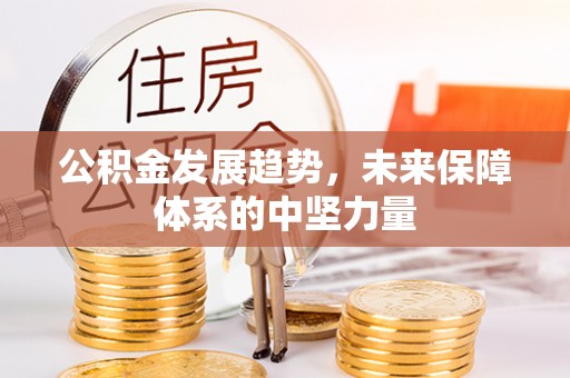 英吉沙公积金发展趋势，未来保障体系的中坚力量