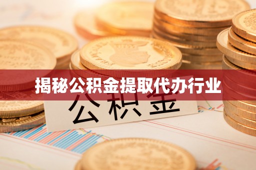 英吉沙揭秘公积金提取代办行业
