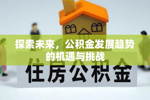 英吉沙探索未来，公积金发展趋势的机遇与挑战