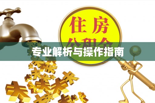 英吉沙专业解析与操作指南
