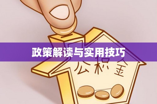 英吉沙政策解读与实用技巧
