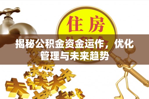 英吉沙揭秘公积金资金运作，优化管理与未来趋势