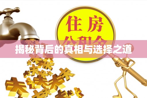 英吉沙揭秘背后的真相与选择之道