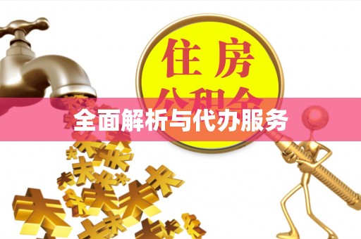 英吉沙全面解析与代办服务