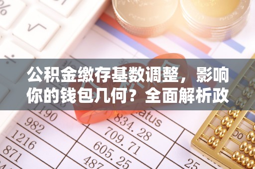 英吉沙公积金缴存基数调整，影响你的钱包几何？全面解析政策与实际收益