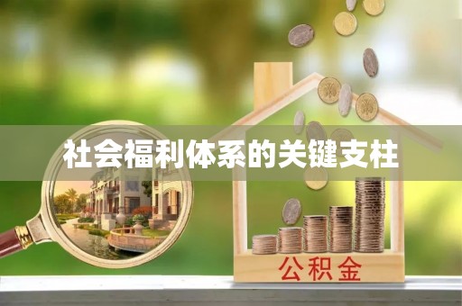 英吉沙社会福利体系的关键支柱