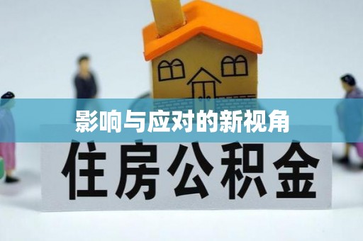 英吉沙影响与应对的新视角