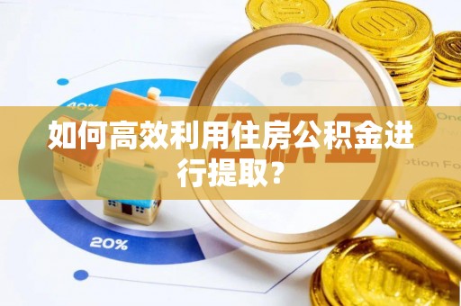 英吉沙如何高效利用住房公积金进行提取？