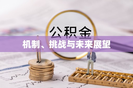 英吉沙机制、挑战与未来展望
