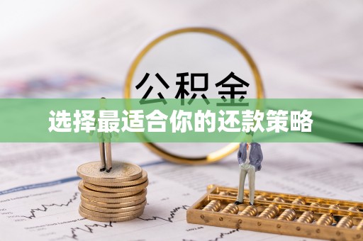 英吉沙选择最适合你的还款策略