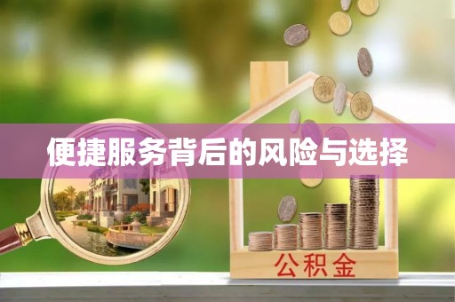 英吉沙便捷服务背后的风险与选择