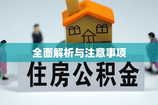 英吉沙全面解析与注意事项
