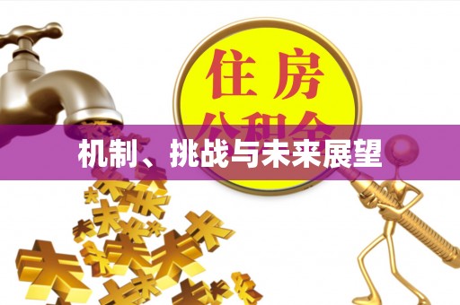 英吉沙机制、挑战与未来展望